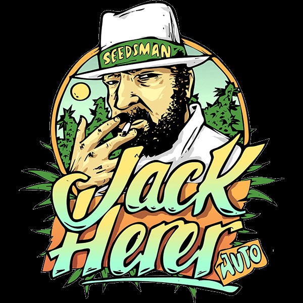 Jack Herer Auto Autoflower by Seedsman