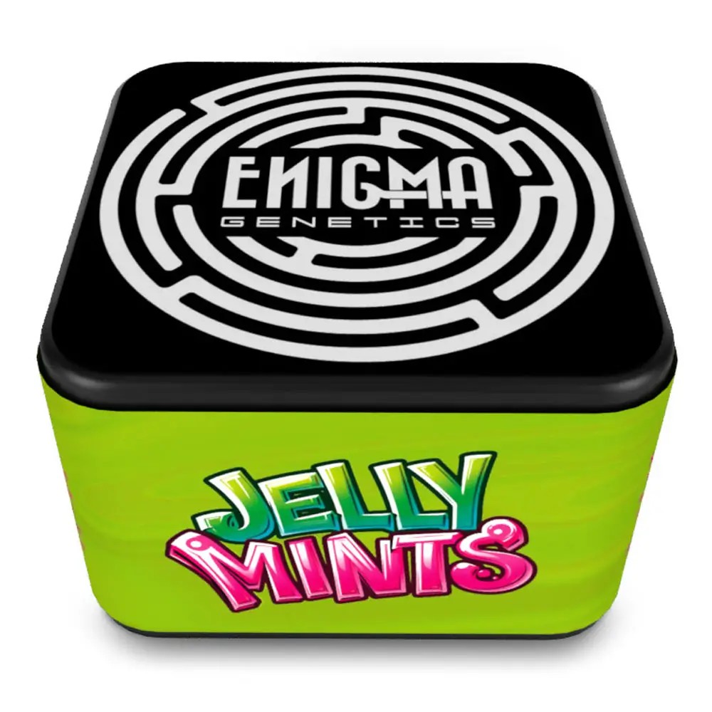 Jelly Mints Feminized by Enigma Genetics