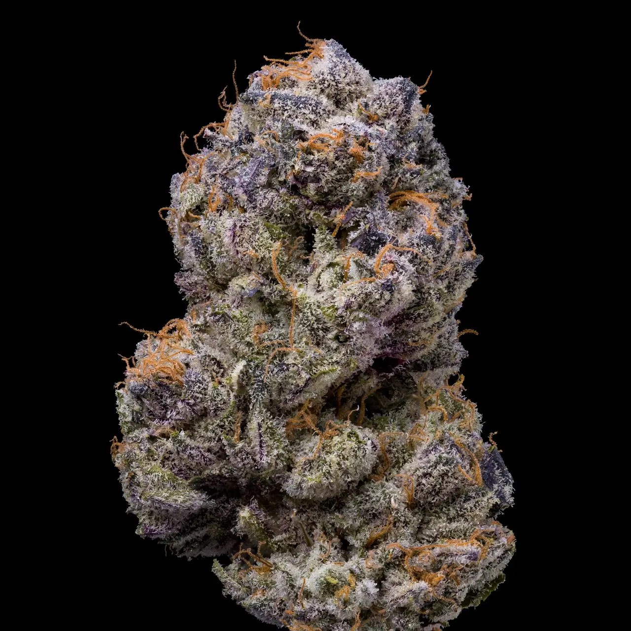 Lemongrass Feminized by Cookies Seed Bank