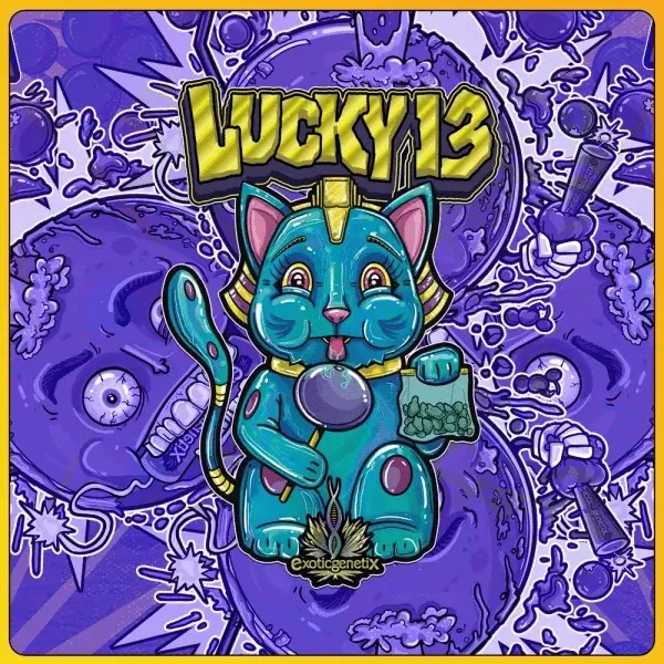 Lucky 13 Feminized by Exotic Genetix