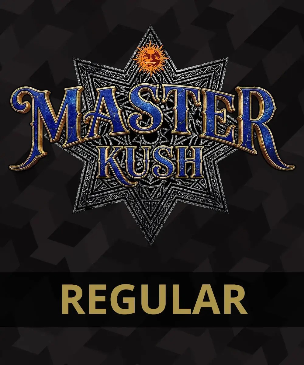 Master Kush Regular Regular by Barneys Farm