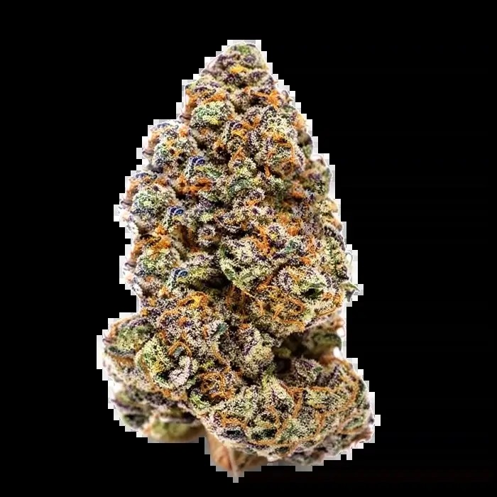 Milkshake Nerdz Feminized by Growers Choice