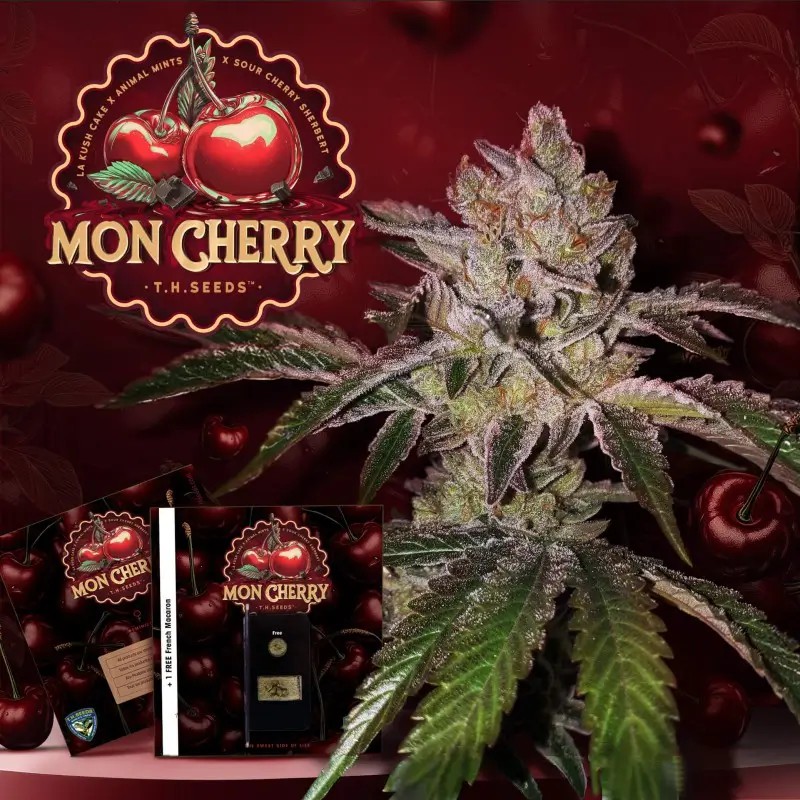 Mon Cherry Feminized by T.H. Seeds