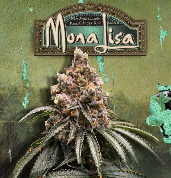 Mona Lisa Feminized by T.H. Seeds