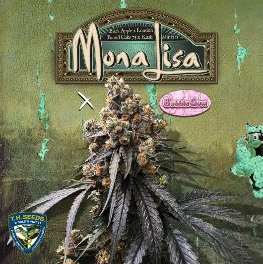 Mona Lisa x Original Bubblegum Feminized by T.H. Seeds