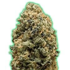Monster Bruce Banner Auto Autoflower by Monster Genetics