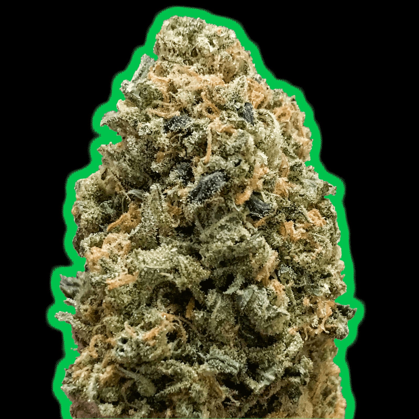 Monster Bruce Banner Feminized by Monster Genetics