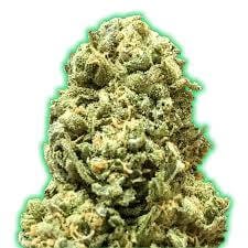 Monster Girl Scout Cookies Feminized by Monster Genetics