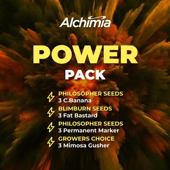 Most Potent Kit Feminized by Alchimia Selection Packs