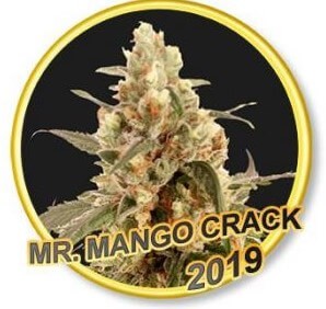 Mr. Mango Crack Feminized by Mr. Hide Seeds