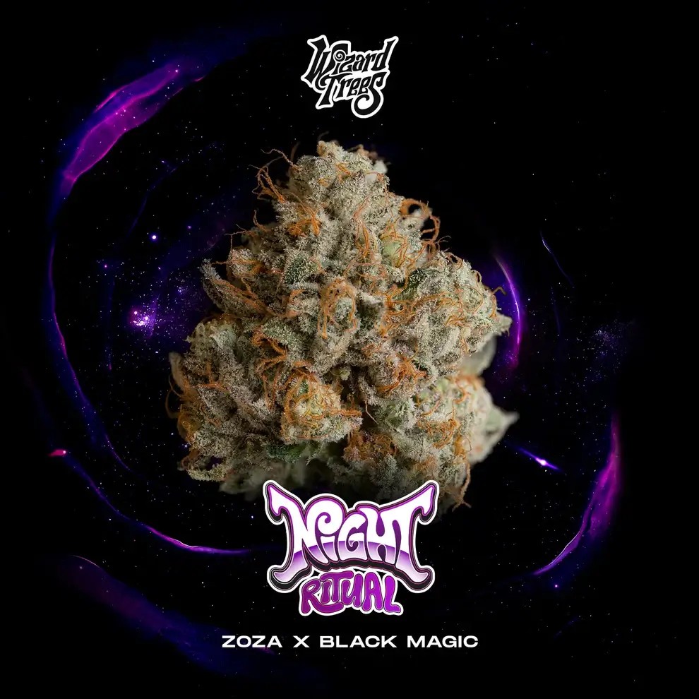 Night Ritual Feminized by Wizard Trees