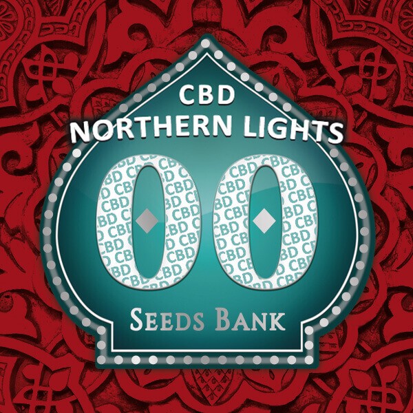 Northern Lights CBD Feminized by 00 Seeds Bank