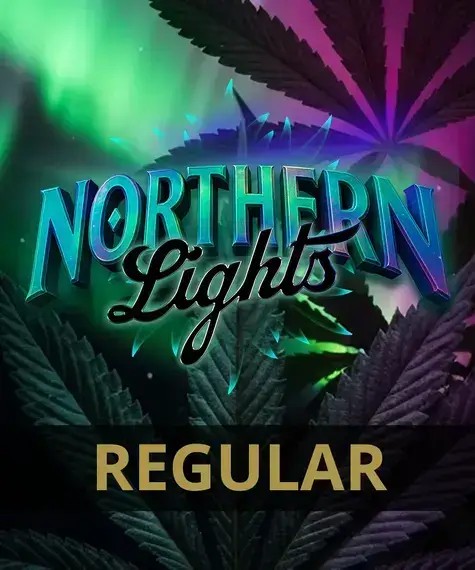 Nothern Lights Regular Regular by Barneys Farm