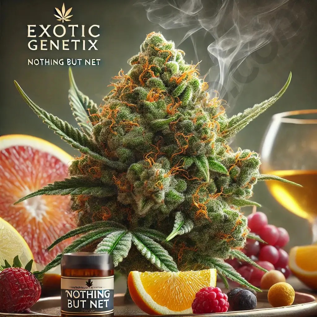 Nothing But Net Feminized by Exotic Genetix