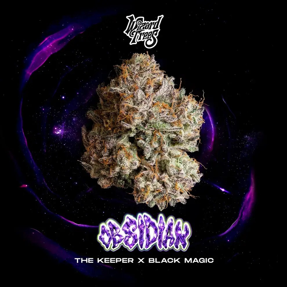 Obsidian Feminized by Wizard Trees