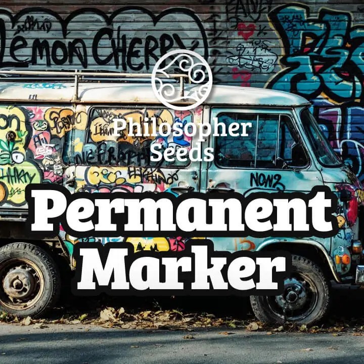 Permanent Marker Feminized by Philosopher Seeds