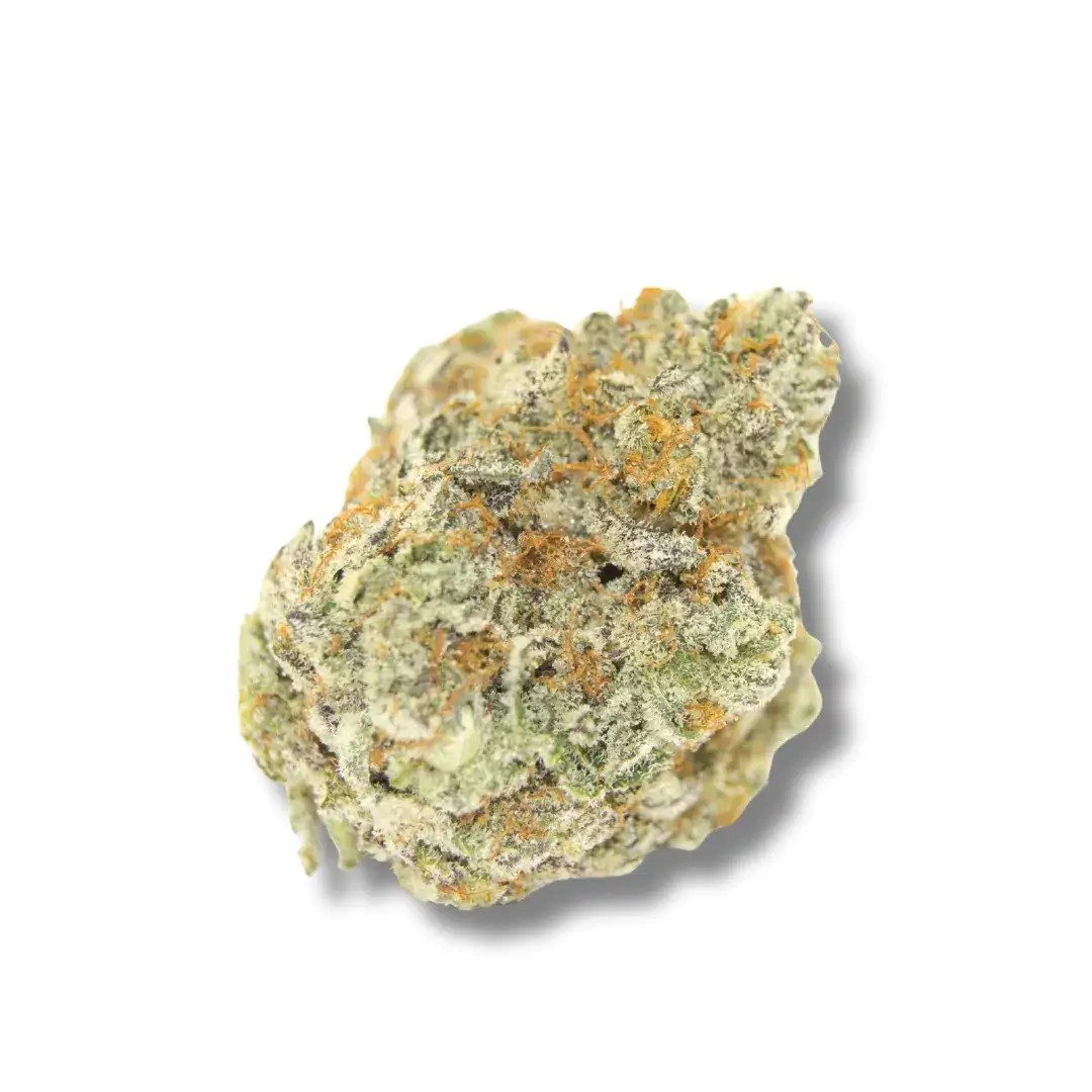 Permanent WhiteMarker Feminized by Growers Choice