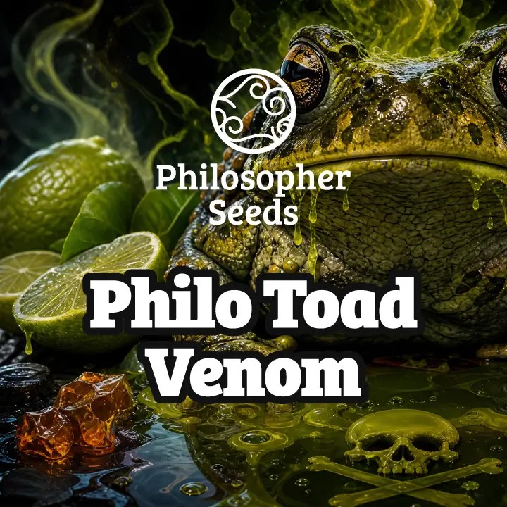 Philo Toad Venom Feminized by Philosopher Seeds