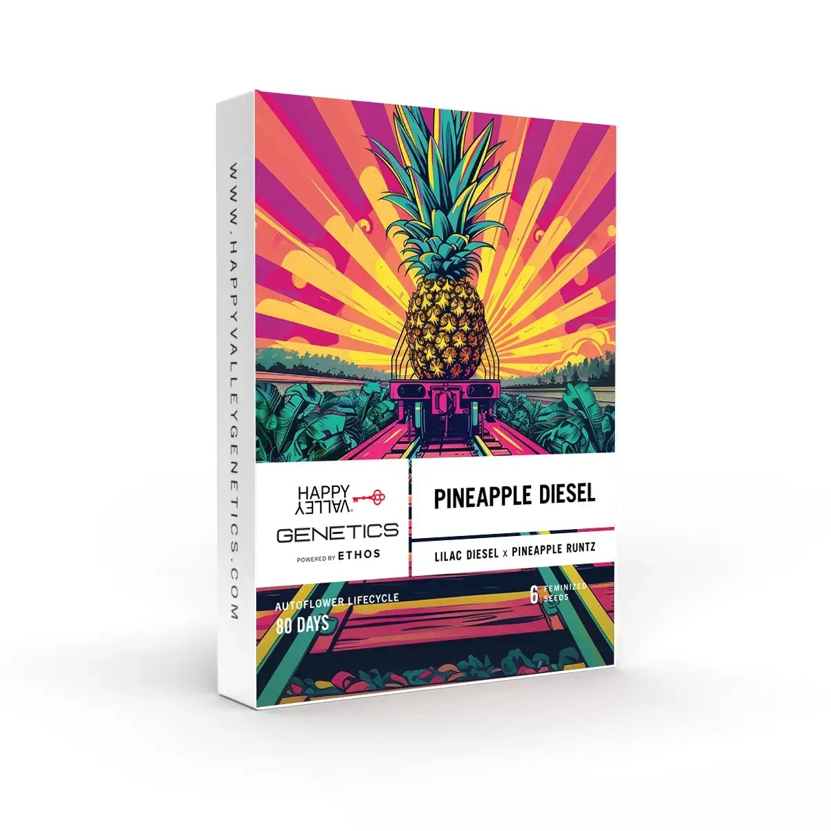 Pineapple Diesel Auto Autoflower by Happy Valley Genetics