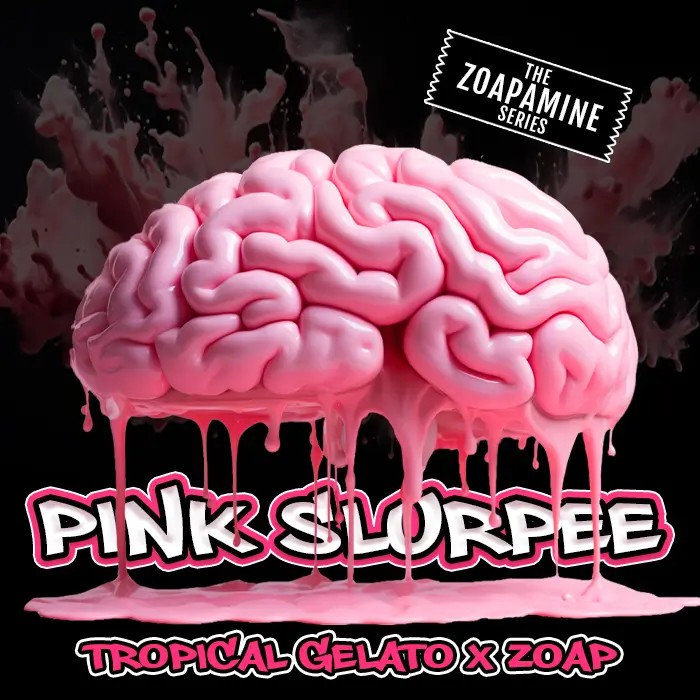 Pink Slurpee Feminized by Elev8 Seeds
