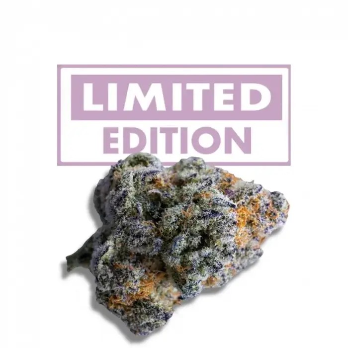 Platinum Mimosa Cookies Double XL Auto Autoflower by Growers Choice