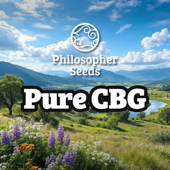 Pure CBG Feminized by Philosopher Seeds