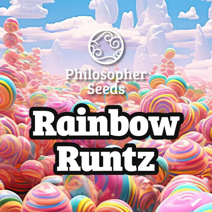 Rainbow Runtz Feminized by Philosopher Seeds