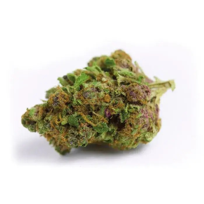Red Banana Berry Double XL Auto Autoflower by Growers Choice