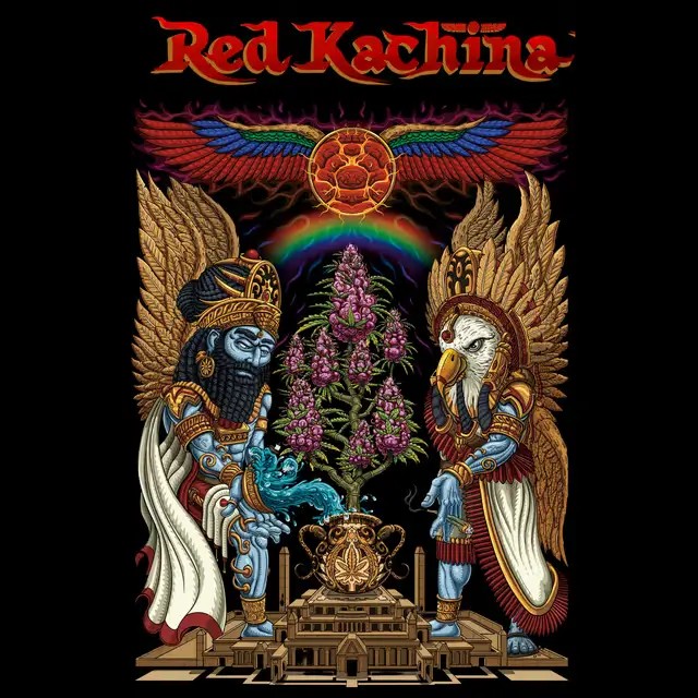 Red Kachina 3.0 Feminized by Conscious Genetics