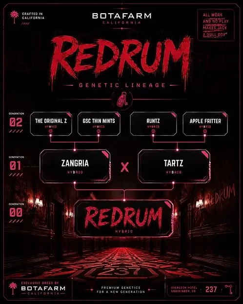 RedRum Feminized by Botafarm Genetics