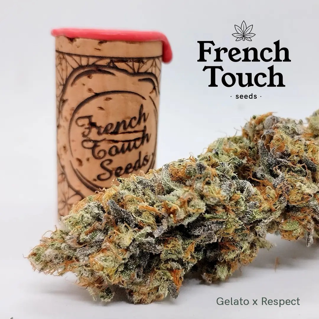 Respeto Feminized by French Touch Seeds