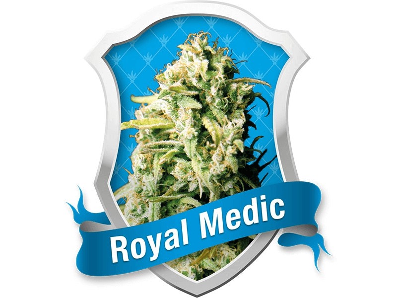 Royal Medic Feminized by Royal Queen Seeds