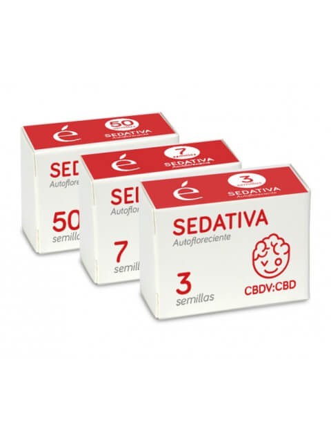 Sedativa CBDV Auto Autoflower by Elite Seeds