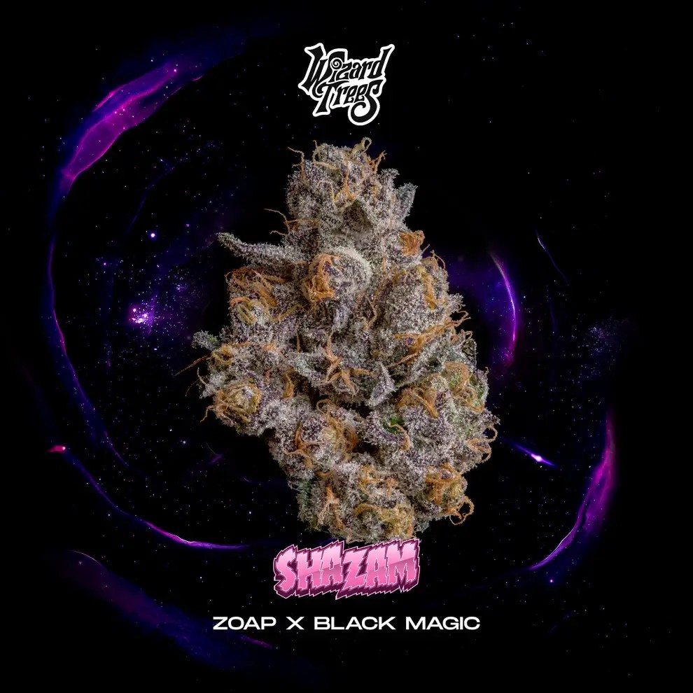 Shazam Feminized by Wizard Trees