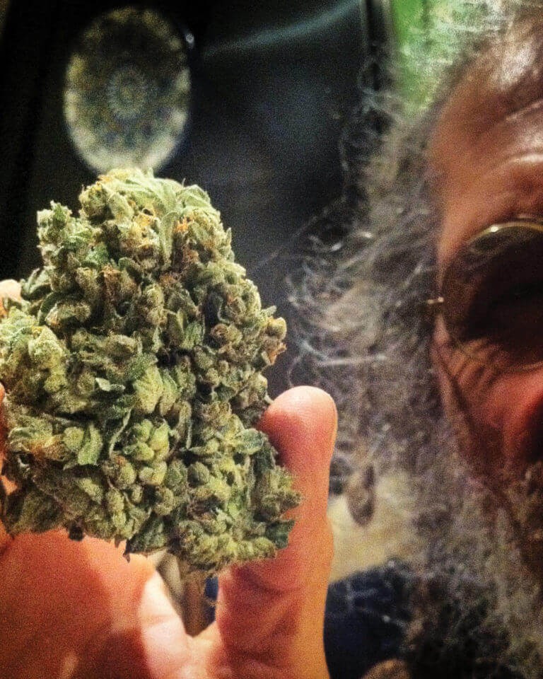 So G Kush Regular by Soma Seeds