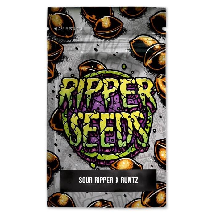 Sour Ripper x Bubba Kush Feminized by Ripper Seeds