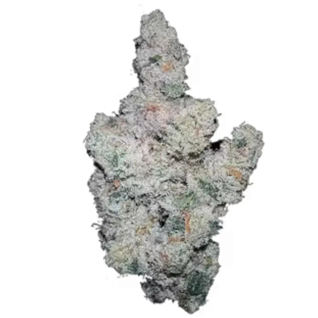Super Boof Feminized by Growers Choice