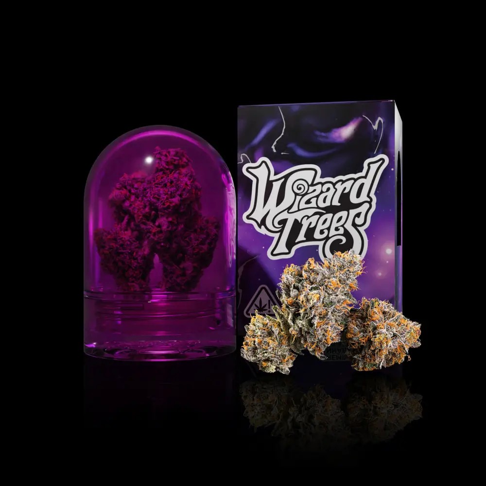 The Keeper Feminized by Wizard Trees
