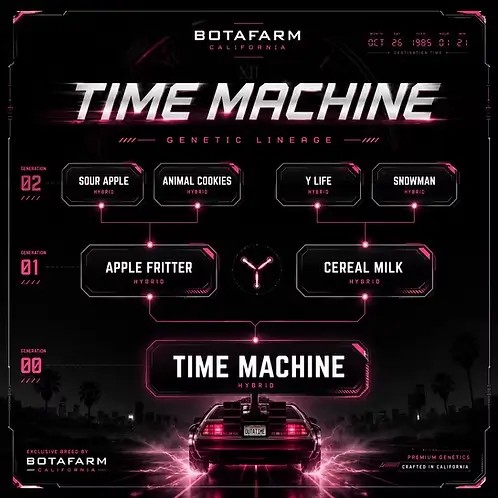 Time Machine Feminized by Botafarm Genetics