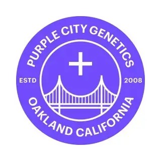 Tokyo Cookies Feminized by Purple City Genetics