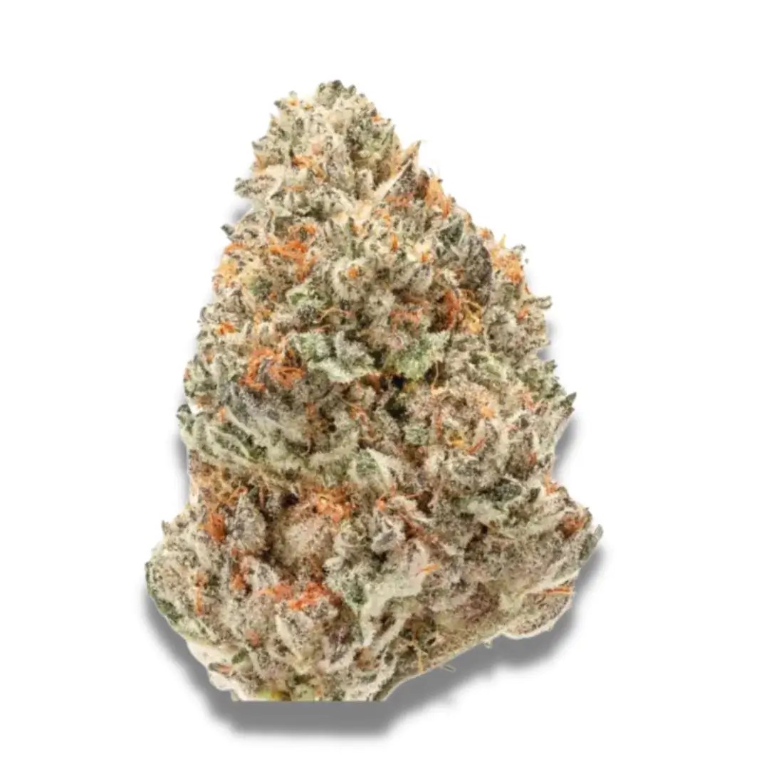 Watermelon Weddingcake Feminized by Growers Choice