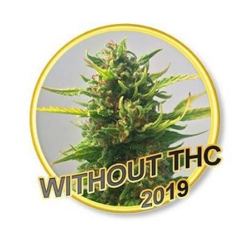 Without THC Feminized by Mr. Hide Seeds