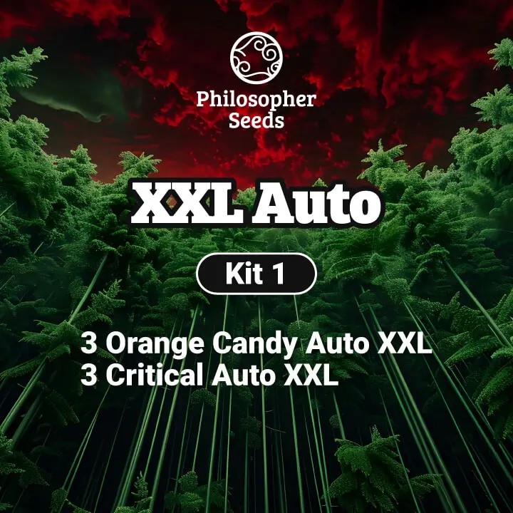 XXL Auto Kit Autoflower by Philosopher Seeds