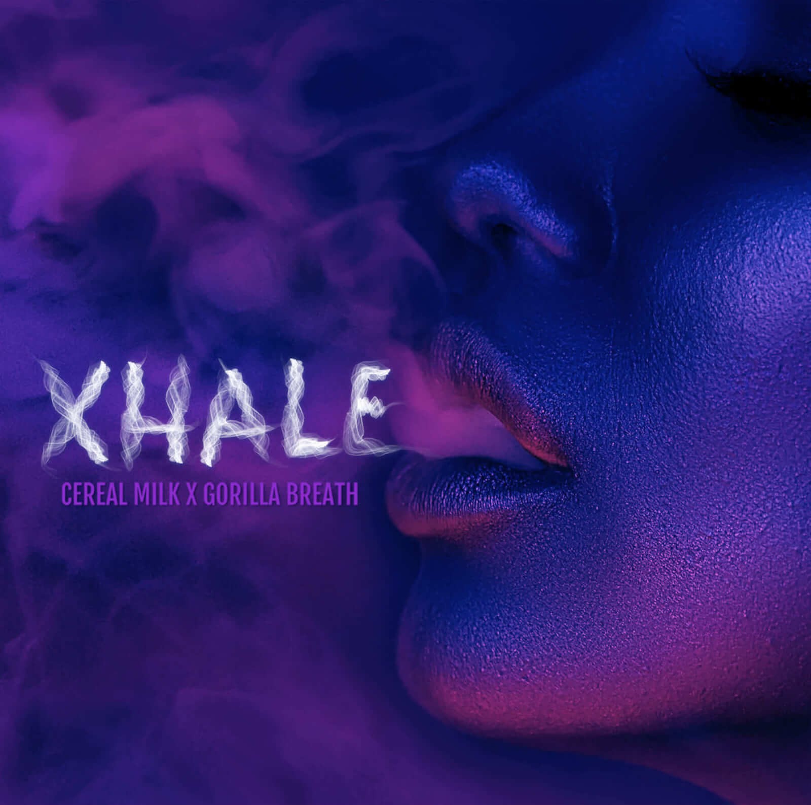 Xhale Feminized by Elev8 Seeds