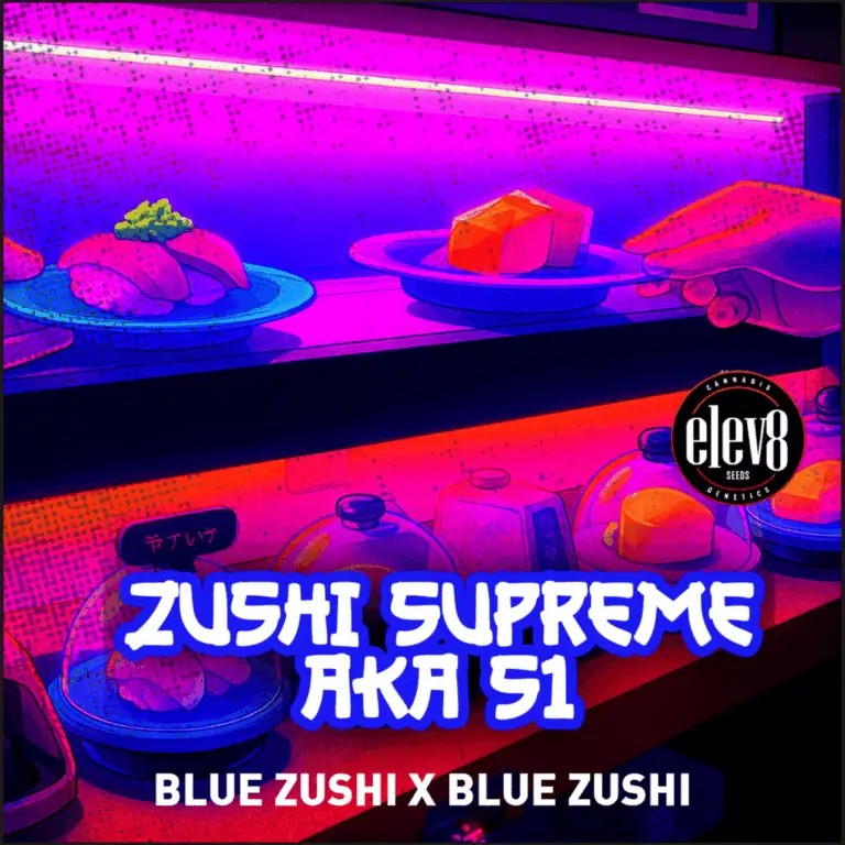 Zushi Supreme (Blue Zushi S1) by Elev8 Seeds