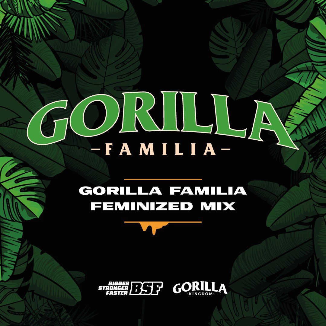 Gorilla Kingdom Family Mix Feminized by BSF Seeds