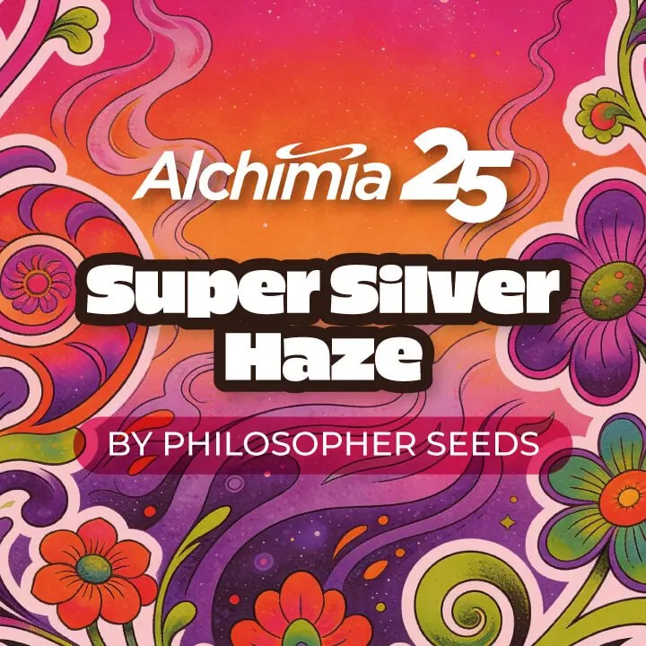 Super Silver Haze Feminized by Philosopher Seeds