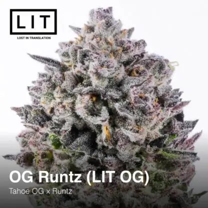 OG Runtz (LIT OG) Feminized by LIT Farms