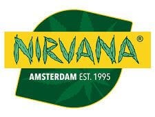 GG-48 Auto Autoflower by Nirvana