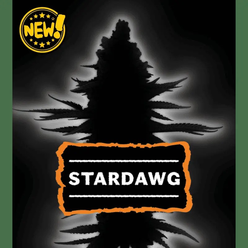Stardawg Feminized by Seedstockers